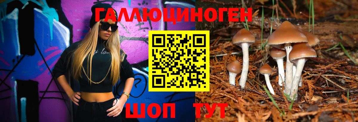 Дальнегорск  Псилоцибиновые грибы мицелий  Галлюциногенные грибы Cubensis  Вход с VPN 